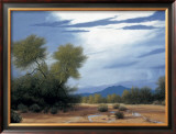 Buy Palo Verde Wash at AllPosters.com