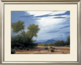 Buy Palo Verde Wash at AllPosters.com
