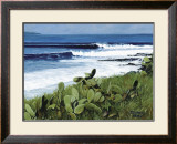 Buy Coconuts at AllPosters.com