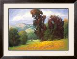 Poppies en Plein Air