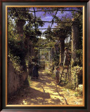 Pergola Harvest