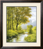 Dreamy Creek II