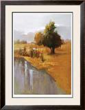 Buy Sage Sensation at AllPosters.com