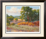 Buy Wine Province II at AllPosters.com