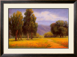 Path Through the Poppies