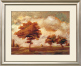 Tuscan Afternoon II
