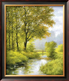 Dreamy Creek II