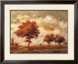 Tuscan Afternoon II