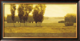 Buy Timeless Meadow at AllPosters.com