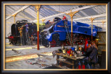 Buy Giants Refreshed at AllPosters.com