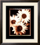 Buy Beautiful Flower IV at AllPosters.com