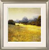 Buy Autumn Grasses at AllPosters.com