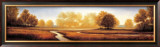 Buy Landscape Panorama III at AllPosters.com