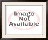 Buy Summer's Bounty at AllPosters.com