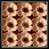Poppyfield