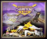 Louisiana State University Tigers 2009 NCAA Baseball Champions
