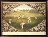 English And Australian Cricketers
