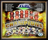2008 Pittsburgh Steelers SuperBowl XLIII Champions