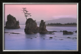 Buy Pacific Coast at AllPosters.com
