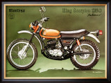 Buy Montesa 250 King Scorpion Motorcycle at AllPosters.com