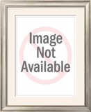 Buy Excel at AllPosters.com