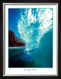 Buy Silver Curl at AllPosters.com