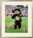 University of Colorado Buffaloes Mascot 2004