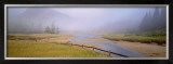 Buy Tidal Mist at AllPosters.com