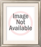 Buy Astronauts of Apollo 11 at AllPosters.com