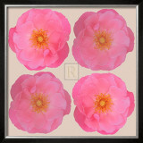 Blush I