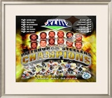 2008 Pittsburgh Steelers SuperBowl XLIII Champions