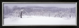 Buy The Seasons Project, 29th of March, 10:25 AM at AllPosters.com