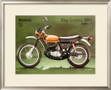 Buy Montesa 250 King Scorpion Motorcycle at AllPosters.com