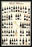 Italian Red Wines