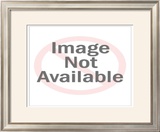 Buy Sight at AllPosters.com