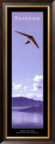 Buy Freedom: Hang Glider at AllPosters.com