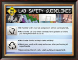 Buy Guidelines at AllPosters.com