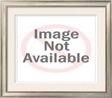 Buy Neil Armstrong at AllPosters.com