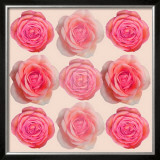 Blush II