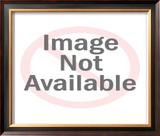 Buy Neil Armstrong, Commander of the Apollo 11 at AllPosters.com