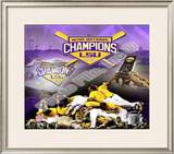 Louisiana State University Tigers 2009 NCAA Baseball Champions