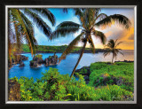 Buy Where Da Coconuts Grow at AllPosters.com