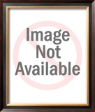 Buy Astronauts of Apollo 11 at AllPosters.com