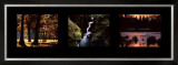 Buy Images from Nature II at AllPosters.com