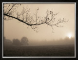 Buy Parish Hill Sunrise at AllPosters.com