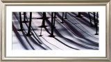 Buy Pine Trees and Morning Shadows at AllPosters.com