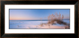Buy Dune Dreaming at AllPosters.com