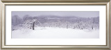 Buy The Seasons Project, 29th of March, 10:25 AM at AllPosters.com