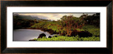 Buy Haleakala Rim at AllPosters.com
