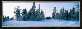 Buy Winter Drifts at AllPosters.com